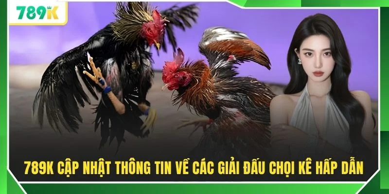 789K cập nhật thông tin về các giải đấu chọi kê hấp dẫn