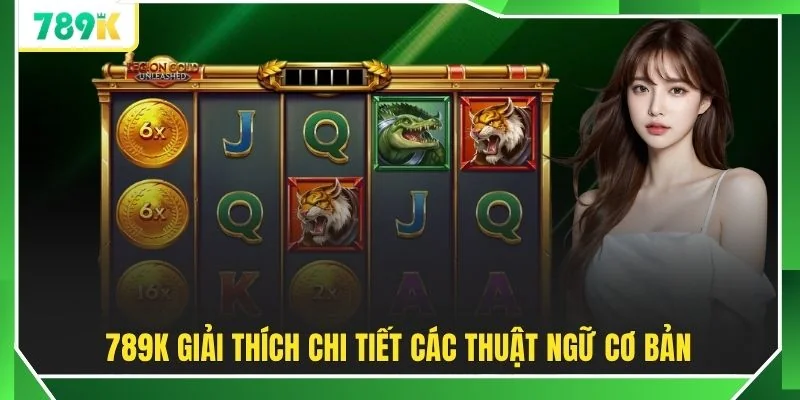 789K giải thích chi tiết các thuật ngữ cơ bản