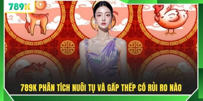 789K phân tích nuôi tụ và gấp thếp có rủi ro nào