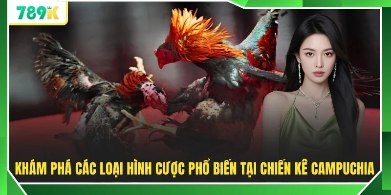 Khám phá các loại hình cược phổ biến tại chiến kê campuchia