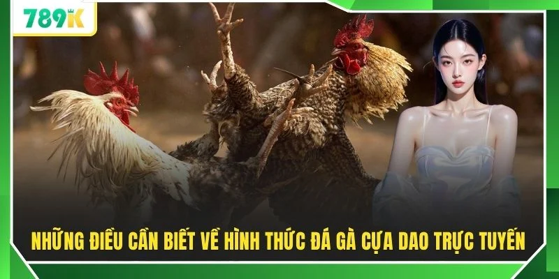 Những điều cần biết về hình thức đá gà cựa dao trực tuyến 