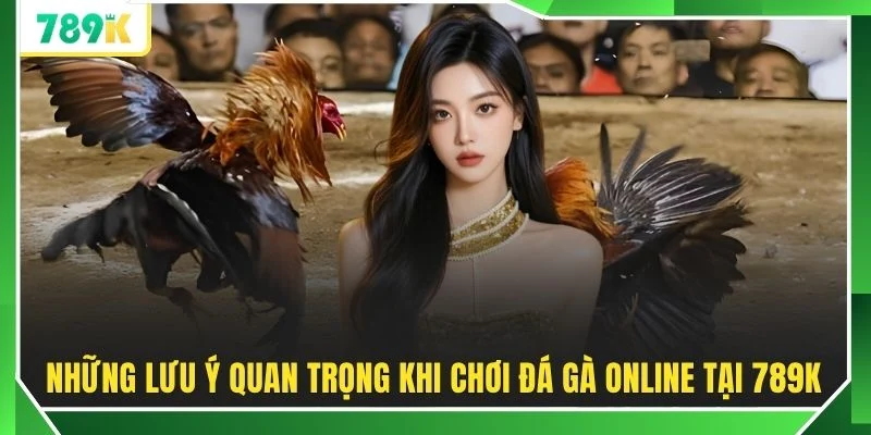 Những lưu ý quan trọng khi chơi đá gà online tại 789K