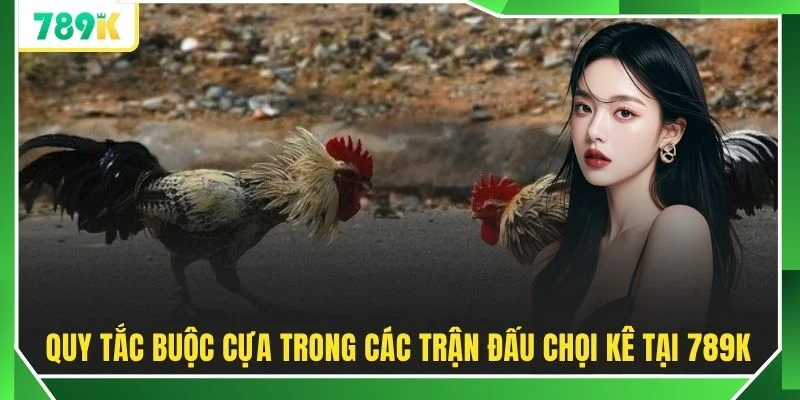 Quy tắc buộc cựa trong các trận đấu chọi kê tại 789K