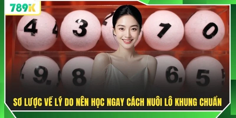 Sơ lược về lý do nên học ngay cách nuôi lô khung chuẩn
