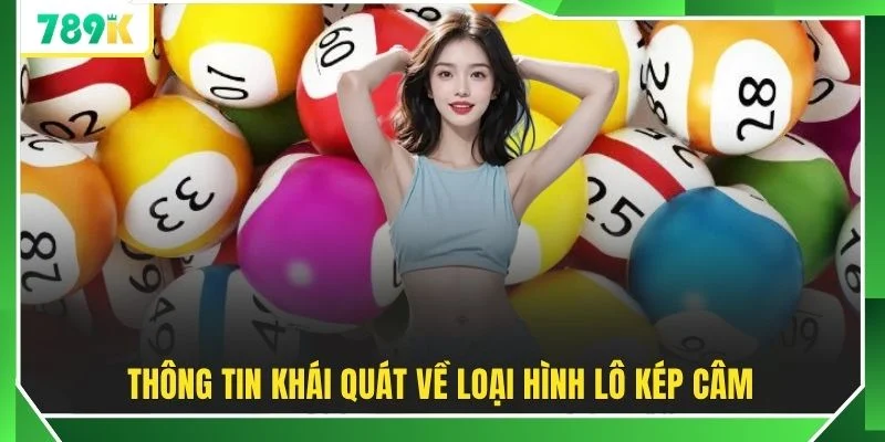 Thông tin khái quát về loại hình lô kép câm