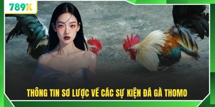 Thông tin sơ lược về các sự kiện đá gà Thomo 
