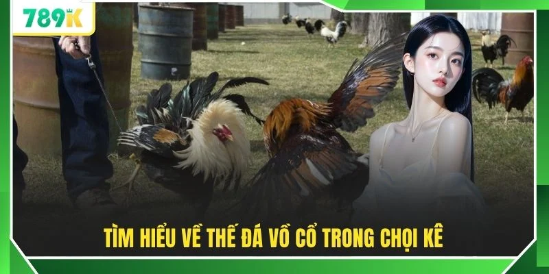 Tìm hiểu về thế đá vồ cổ trong chọi kê